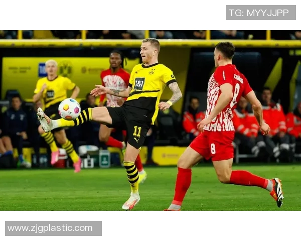 多特蒙德球迷暴力事件引发欧冠禁赛及巨额罚款风波