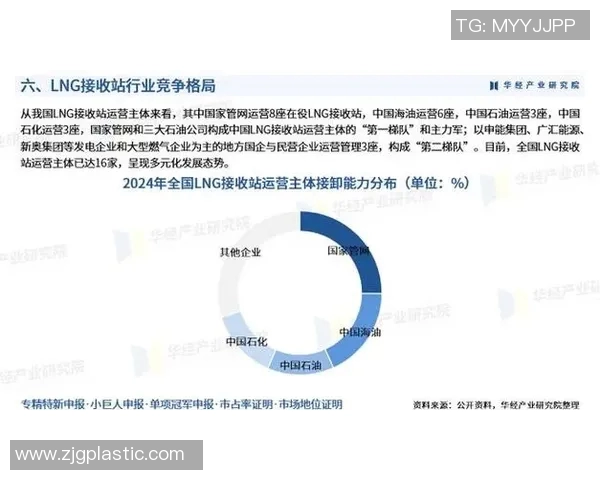 深度分析LNG产业链运营策略与市场趋势解读