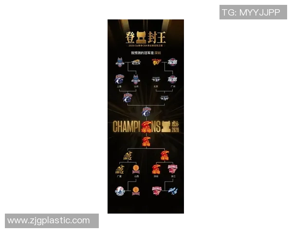 深圳篮球队在世界杯积分榜上以63分稳居第一名展现强大实力